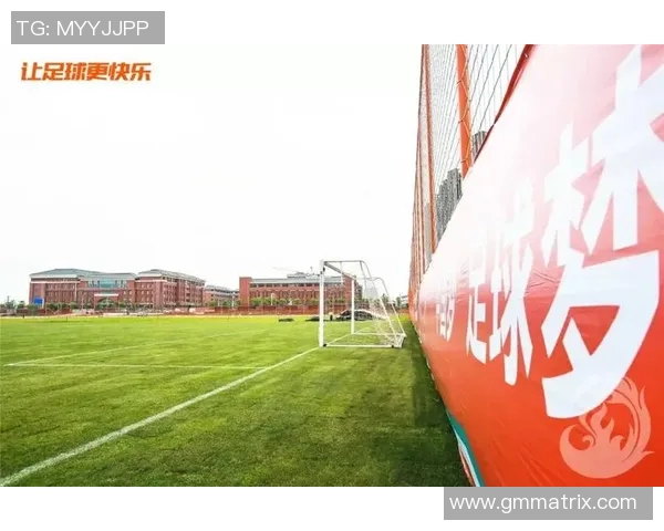 探索天津足球俱乐部的多样性与发展历程及其在中国足球中的地位